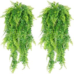 2 Unidades Samambaias Verde Pendente Folhagem Verde 65cm - 1