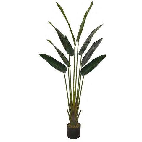 Planta Árvore Artificial Palmeira Viajante Real Toque C/pote X8 Verde 1,6m