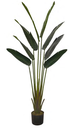 Ver imagem 1 de Planta Árvore Artificial Palmeira Viajante Real Toque C/pote X8 Verde 1,6m