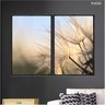 Kit 2 Quadros Decorativos 60x80cm Vidro Dente de Leao por do Sol Natureza Macro Flnt080 - 2