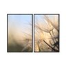 Kit 2 Quadros Decorativos 60x80cm Vidro Dente de Leao por do Sol Natureza Macro Flnt080 - 1