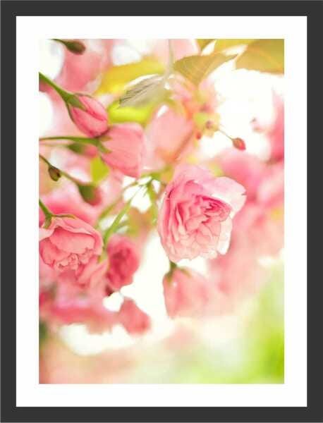 Quadro Decorativo Flores Natureza Paisagens Salas Interiores Com Moldura Decorações - 1