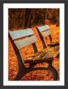 Ver imagem 1 de Quadro Decorativo Banco Árvore Natureza Paisagens Salas Interiores Com Moldura Decorações