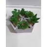 Kit 6 Flores Artificiais Suculenta + Vaso Cimento Triângulo - 2