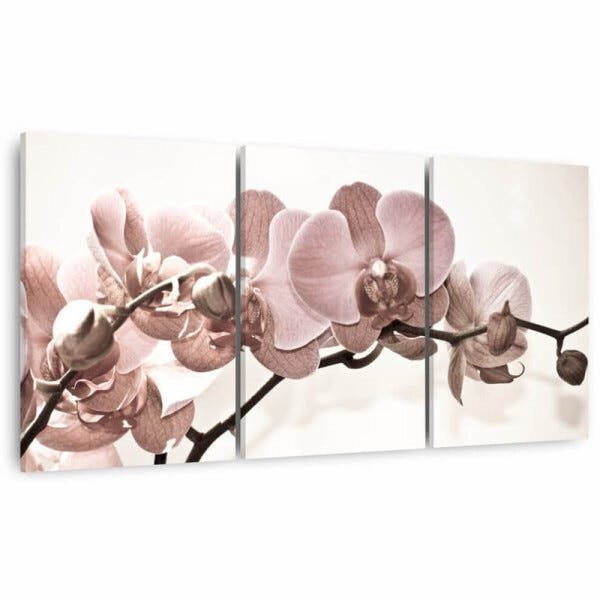 Quadro Decorativo Flores Orquídeas Bege para Sala Recepção Conjunto 3 Telas 60x120 - 2