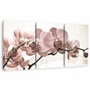 Ver imagem 2 de Quadro Decorativo Flores Orquídeas Bege para Sala Recepção Conjunto 3 Telas 60x120