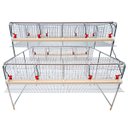 Ver imagem 4 de Kit Gaiola Suspensa para Galinhas Poedeiras 48 Aves Chocmaster Galinha Suspensa