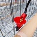 Ver imagem 5 de Kit Gaiola Suspensa para Galinhas Poedeiras 48 Aves Chocmaster Galinha Suspensa