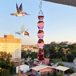 Bebedouro De Vidro Fino Luxo Para Beija Flor E Pássaros - 2