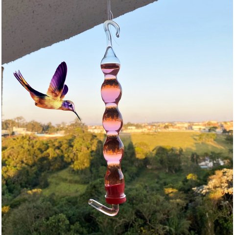 Bebedouro De Vidro Fino Luxo Para Beija Flor E Pássaros