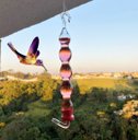 Ver imagem 1 de Bebedouro De Vidro Fino Luxo Para Beija Flor E Pássaros