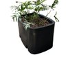 Vaso Planta 100x60 Jardineira Floreira Polietileno - 4