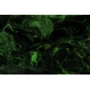 Ver imagem 4 de Kit Mármore Líquido Verde Bahia / Preto Jato Ag Resinas Ag Kit Bancada Ag