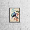 Ver imagem 1 de Quadro Casal de Passarinhos 33x24cm - com vidro:Madeira preta