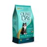 Ração Qualiday Para Gatos Castrados Sabor Salmão 1Kg - 1