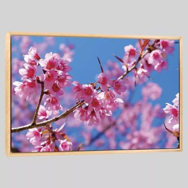 Quadro Floral Delicada Cerejeira 95x63cm Moldura Natural - 1