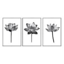 Ver imagem 1 de Kit 03 Quadros Decorativos - Flor de Lotus Preto e Branco Minimalista Flnt005 - Tela Canvas 60x80cm