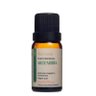 Óleo Essencial Artemísia Via Aroma - 5ml - 1