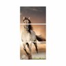 Quadro decorativo Cavalo Vertical Sobre Pôr Do Sol Para Corredor Recepção 60x120 - 3