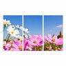 Quadro Flores Cosmos decorativo Floral Para Sala Recepção 3 Peças Canvas - 1