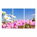 Ver imagem 1 de Quadro Flores Cosmos decorativo Floral Para Sala Recepção 3 Peças Canvas