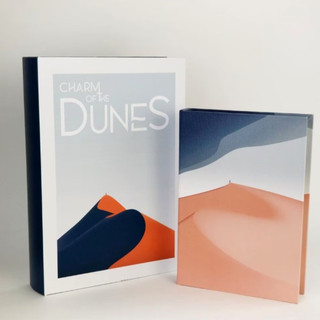 Livro Caixa Decorativo Organizador Charm Of The Dunes Grande - 3