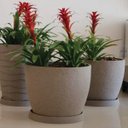 Ver imagem 3 de Vaso Europa Redondo Polietileno Japi Cor Vaso:Marmore;Tamanho Vaso: G 42 x 33 cm