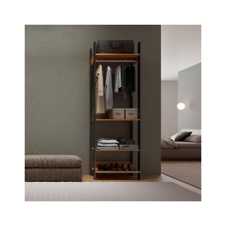 Closet Modulado 1 Cabideiro 4 Prateleiras 73,5cm Tw402 Dalla Costa - Freijó/preto Fosco