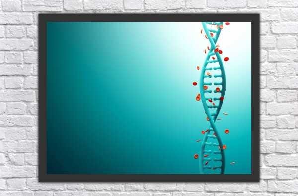 Quadro Decorativo Medicina Médico Biologia Dna Consultórios Salas Decorações Profissão Com Moldura - 1