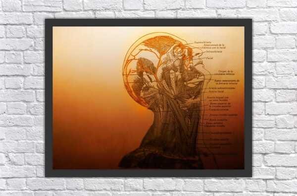 Quadro Decorativo Medicina Médicos Consultórios Salas Interiores Mosaico 5 Peças Com Moldura - 1