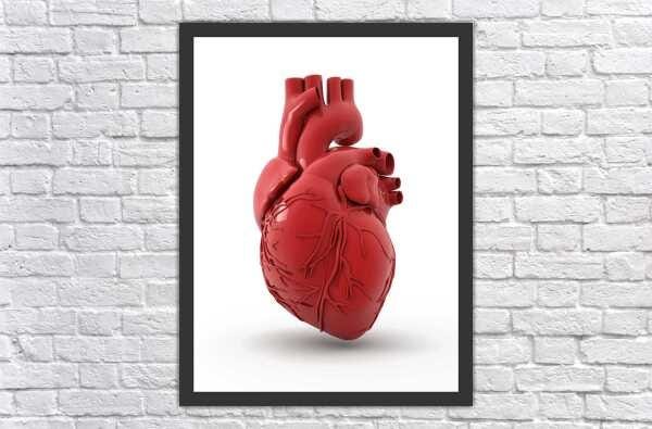 Quadro Decorativo Medicina Médico Coração Consultórios Salas Decorações Profissão Com Moldura - 1