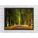 Ver imagem 1 de Quadro Decorativo Natureza Árvore Estrada Paisagens Com Moldura