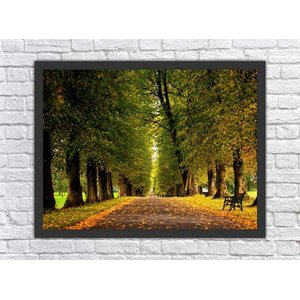 Quadro Decorativo Natureza Árvore Estrada Paisagens Com Moldura