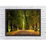 Quadro Decorativo Natureza Árvore Estrada Paisagens Com Moldura - 1