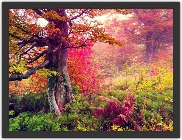 Quadro Decorativo Natureza Árvore Paisagens Com Moldura - 1