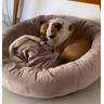 Cama para Pets Cães e Gatos Nuvem Veludo G 70x70:Rose Gold Veludo - 3