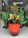 Ver imagem 5 de Vaso para Plantas Grande Decorativo Sala Jardim Alto Brilho e Leve 40cm (liso/terracota)