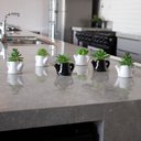 Ver imagem 2 de Kit 6 Suculentas Artificiais com Vaso de Cerâmica 9,5x8x6 Cm - D’Rossi