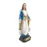 Imagem de Nossa Senhora da Medalha Milagrosa 20 cm Resina - 2