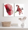 Ver imagem 2 de Kit 2 Quadros Sala Flores Modernas Sóbrias Neutras 45x34cm - com Vidro:madeira Branca