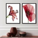 Ver imagem 1 de Kit 2 Quadros Sala Flores Modernas Sóbrias Neutras 45x34cm - com Vidro:madeira Branca