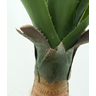 Arvore Planta Grande 90cm Suculenta Agave Sala e Vaso - 2