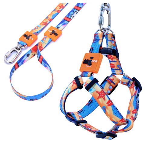 Coleira Cachorros com Guia Praia G Style