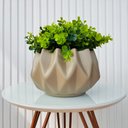 Ver imagem 2 de Vaso cachepot centro de mesa cáqui enfeite moderno c/ planta