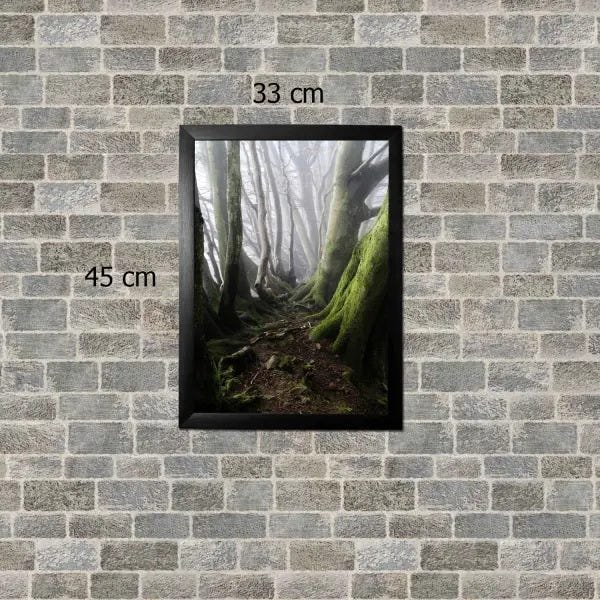 Quadro Decorativo Com Moldura Preta Floresta 45 X 33 Rbl - 2
