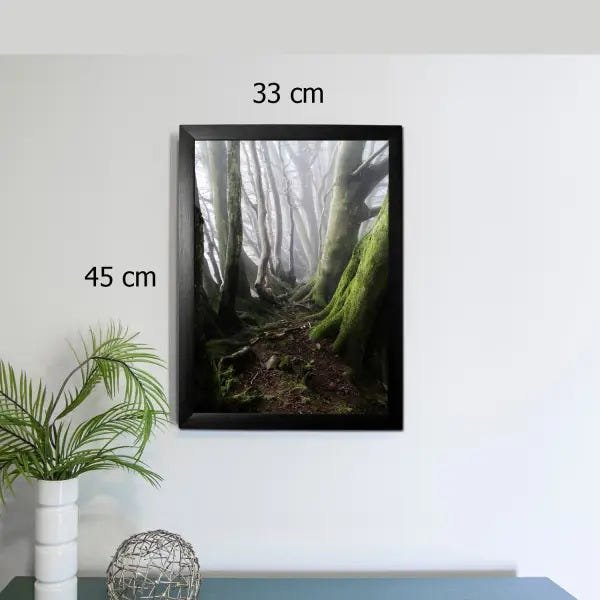 Quadro Decorativo Com Moldura Preta Floresta 45 X 33 Rbl - 3