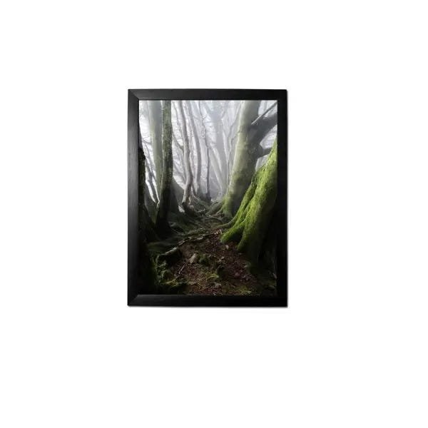 Quadro Decorativo Com Moldura Preta Floresta 45 X 33 Rbl - 1
