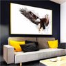 Quadro Decorativo Águia Efeito Especial Símbolo de Foco Poder Disciplina:120x80 cm/BRANCA - 5