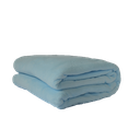 Ver imagem 1 de Cobertor Microfibra Plush Azul Bebê - 
