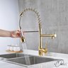 Torneira de Cozinha Gourmet Misturador Monocomando 55cm Premium (Spring - Dourada) - 2